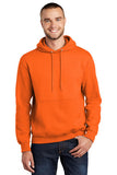 Port & Company® Essential Fleece Pullover Hooded Sweatshirt (Color Group 2)